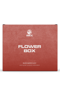 Flower Box