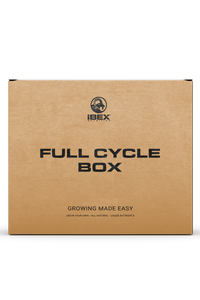 Full Cycle Box