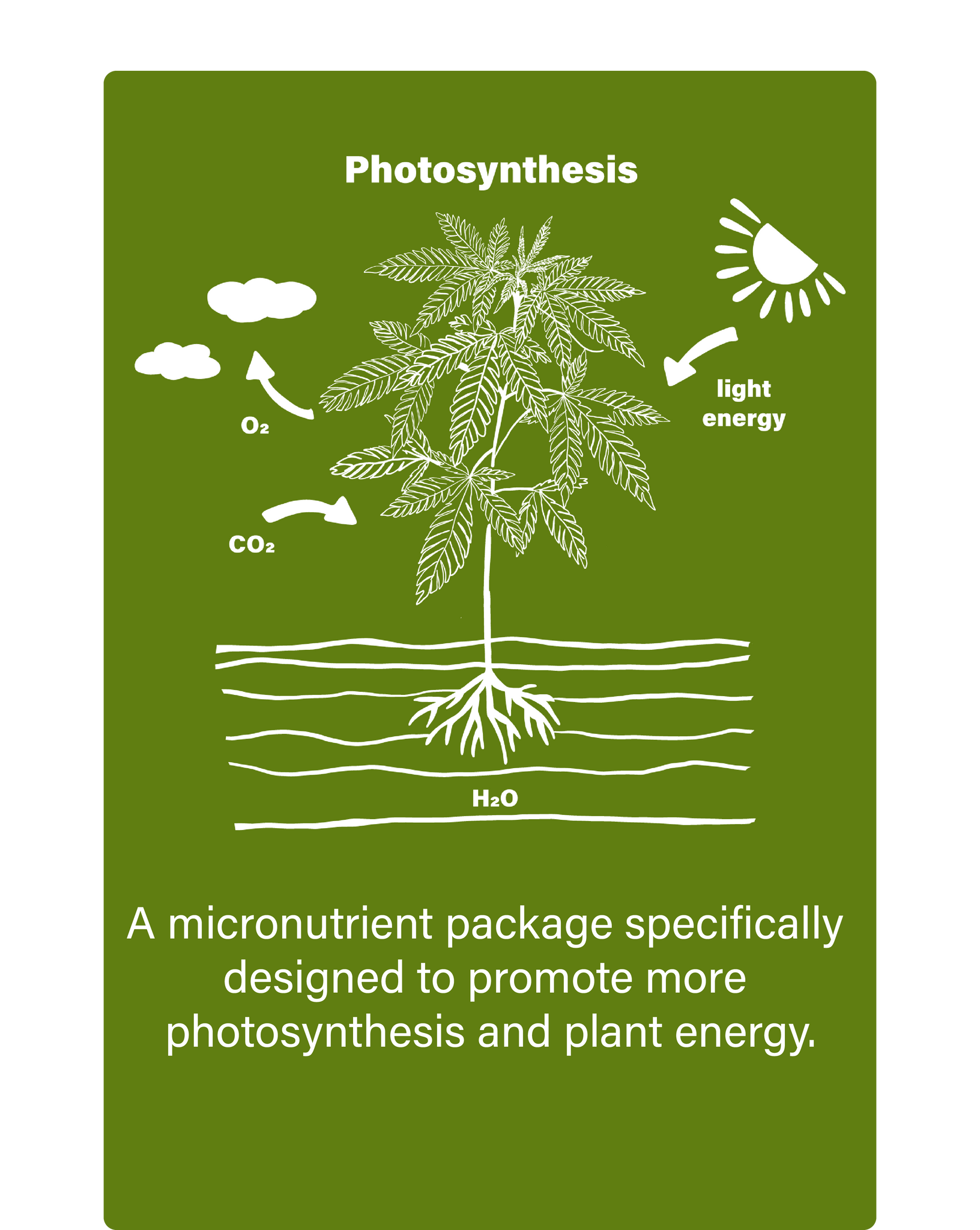 ibex-nutrition-plant-nutrients-fertilizer-photosynthesis-description